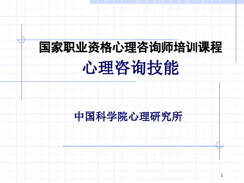 国家职业资格考试—心理咨询师(三级)—心理咨询技能—2个体咨询技巧 PPT课件