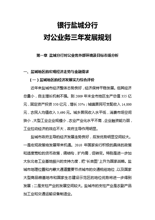 公司业务三年发展规划