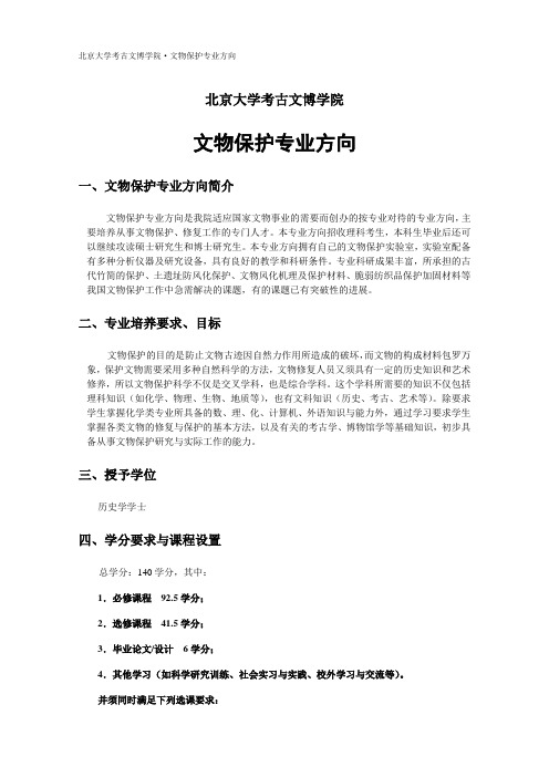 北京大学考古文博学院文物保护专业