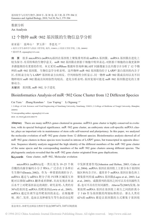 12个物种miR_302基因簇的生物信息学分析