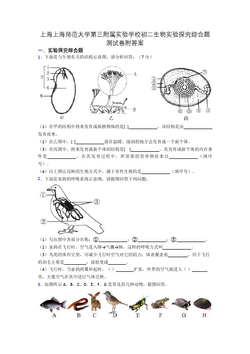 上海上海师范大学第三附属实验学校初二生物实验探究综合题测试卷附答案