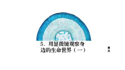 教科版六下科学第一单元第五课用显微镜观察身边的世界(一)精品课件