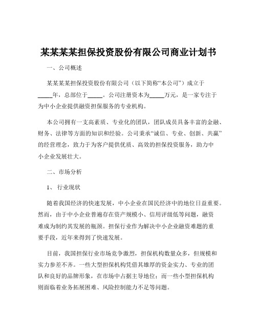 某某某某担保投资股份有限公司商业计划书