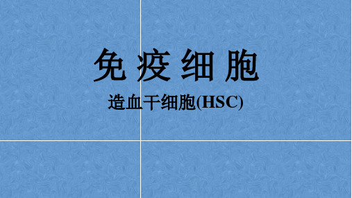 免疫细胞：造血干细胞(HSC) PPT课件