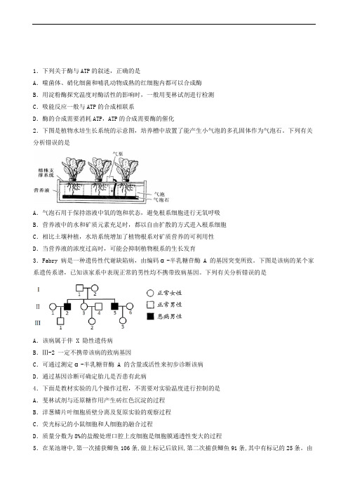 四川省宜宾市叙州区第一中学2020届高三上学期期中考试理综生物试题