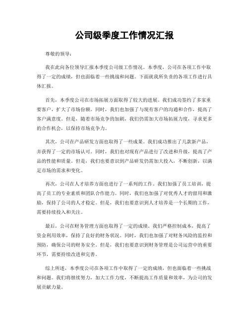 公司级季度工作情况汇报