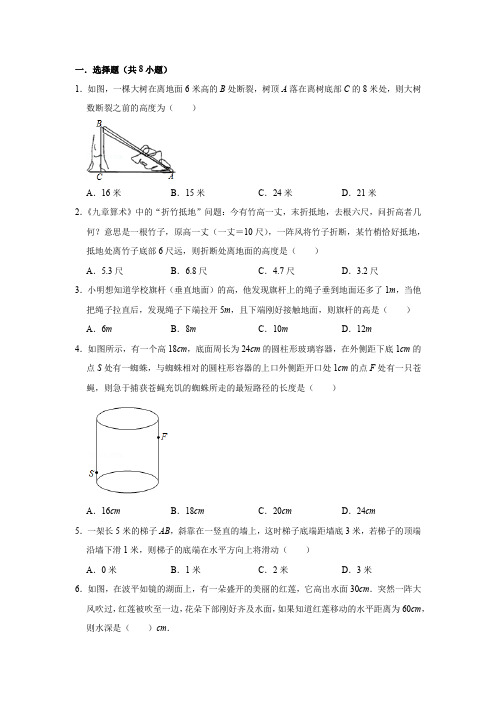 八年级数学周末作业北师大版