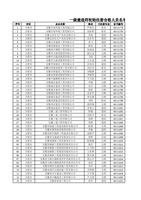 一级建造师初始注册合格人员名单xls
