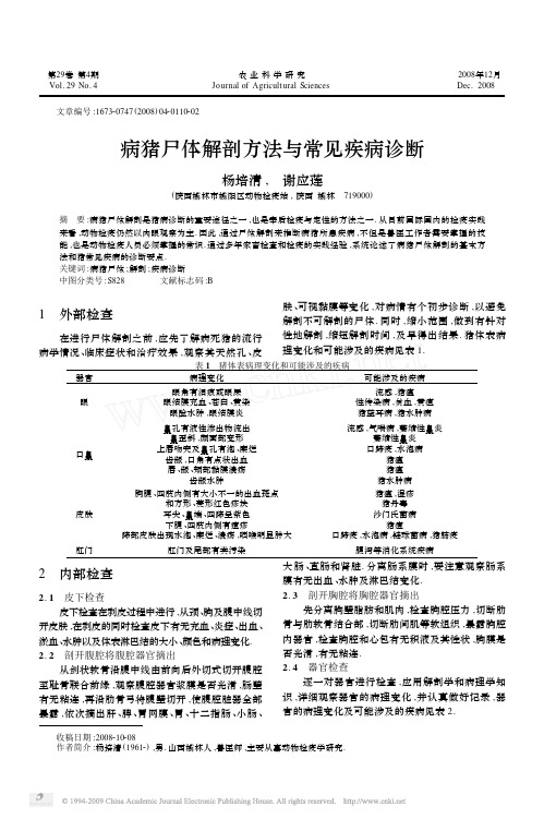 病猪尸体解剖方法与常见疾病诊断