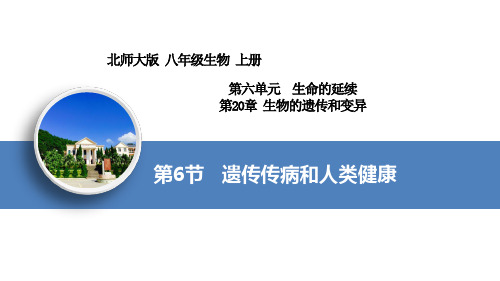 20.6遗传病和人类健康
