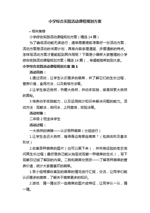 小学综合实践活动课程规划方案