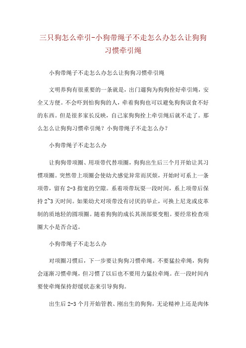 三只狗怎么牵引-小狗带绳子不走怎么办怎么让狗狗习惯牵引绳