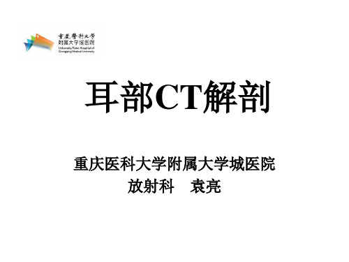 耳部CT解剖(大学城医院)