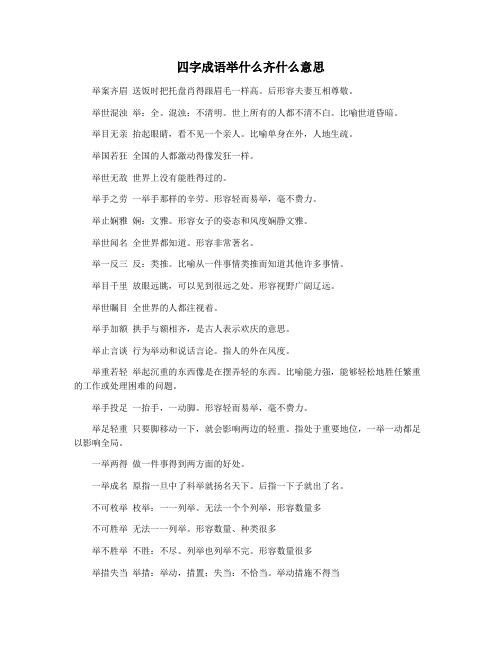 四字成语举什么齐什么意思