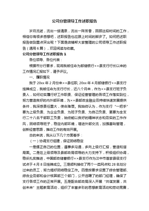 公司分管领导工作述职报告