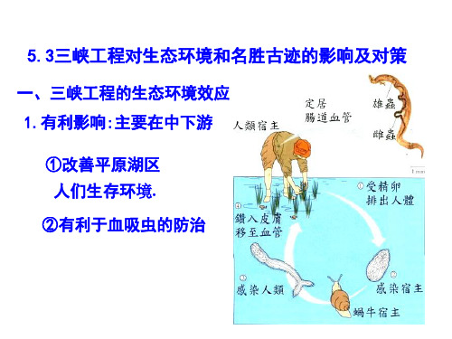 高中地理课件三峡工程对生态环境和名胜古迹的影响及对策433