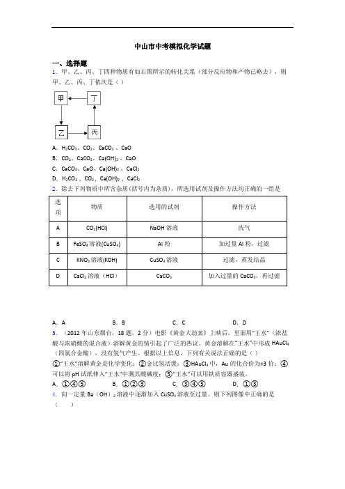 中山市中考模拟化学试题