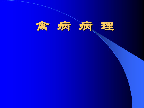 兽医病理学--禽病病理