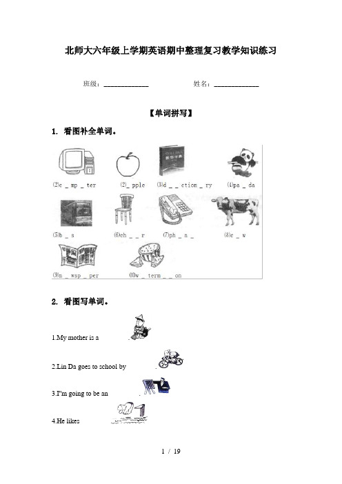 北师大六年级上学期英语期中整理复习教学知识练习