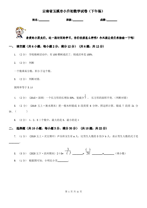 云南省玉溪市小升初数学试卷(下午场)