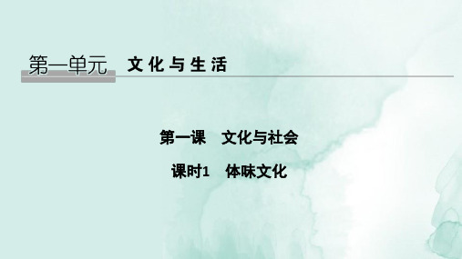 高中政治必修3精品课件：1.1 体味文化