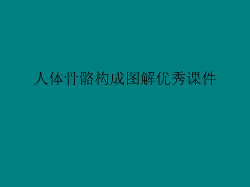 人体骨骼构成图解优秀课件