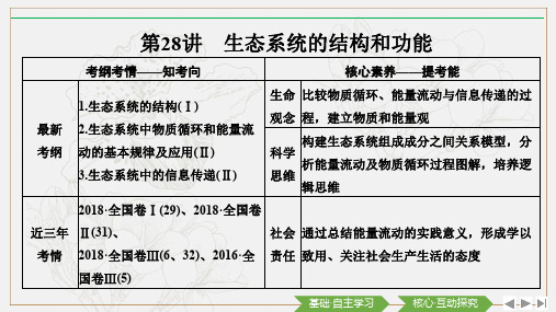 2020版生物高考新素养总复习中图版课件：第28讲 生态系统的结构和功能 