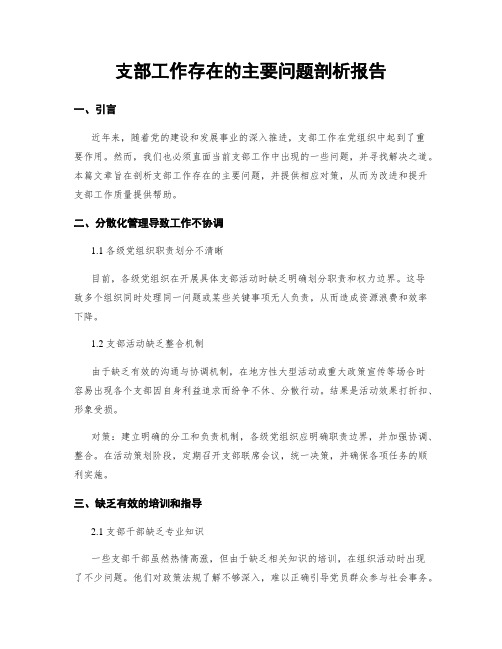 支部工作存在的主要问题剖析报告