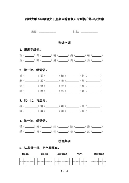 西师大版五年级语文下册期末综合复习专项提升练习及答案