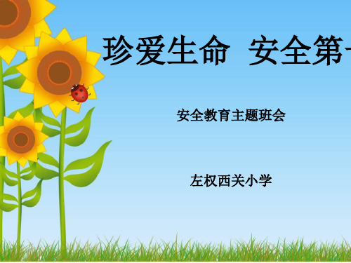“珍爱生命_安全第一”小学校园安全教育课件(1)