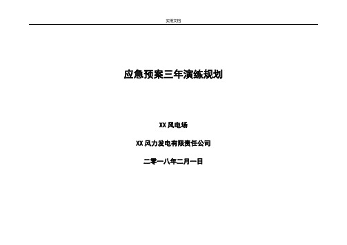 风电场应急预案三年演练规划(实用模板)