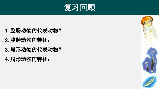 线形动物和环节动物人教版八年级上册生物ppt课件