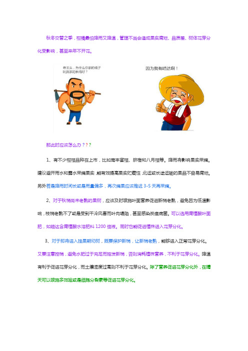 降温降雨,柑橘秋管抓好这几点,那都不是事!