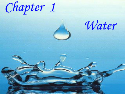 八年级英语上册 CHAPTER ONE Water 课件 牛津深圳版