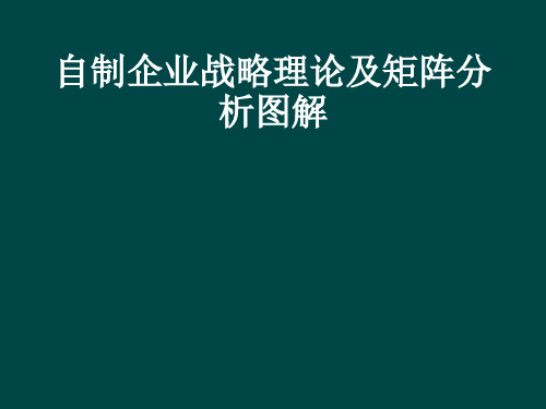 企业战略理论及矩阵分析图解集锦