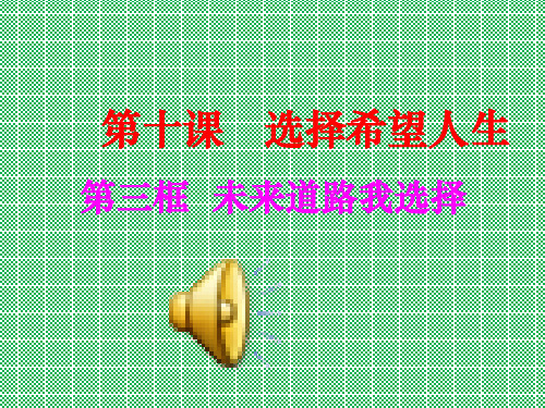 人教版思想品德九年级上册课件10.3未来道路我选择