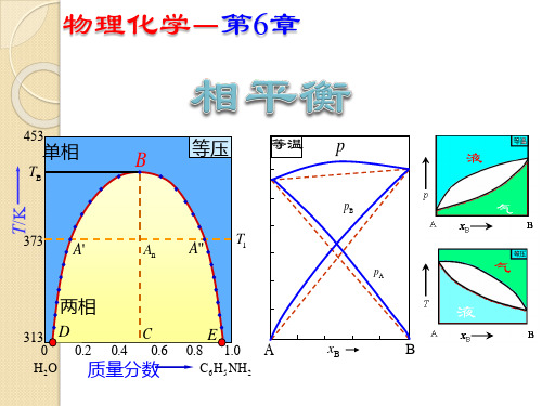 物理化学6相平衡资料