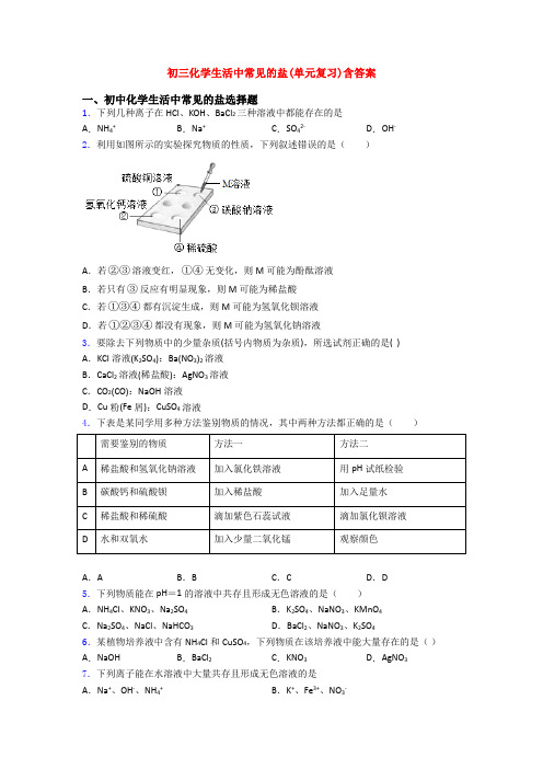 初三化学生活中常见的盐(单元复习)含答案