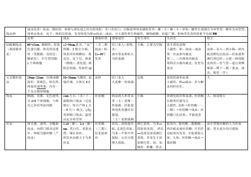 寄生虫图表