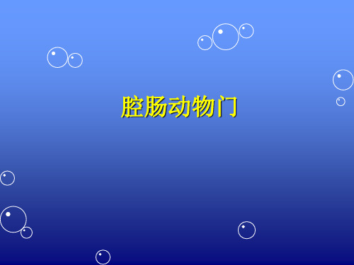 生物奥赛之腔肠、扁形、原腔动物门