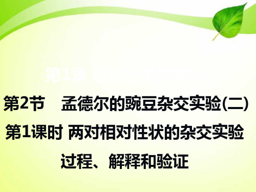 1-2 两对相对性状的杂交实验过程、解释和验证(精品课件)
