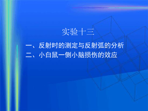 实验13 反射时的测定与反射弧的分析