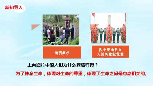 【一线精品】 人教版 《道德与法治》七年级上册 8.2 敬畏生命课件(共22张PPT)