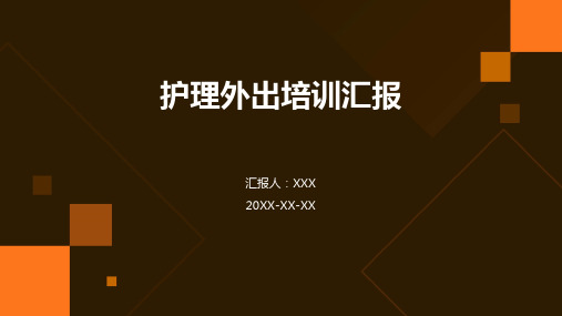 护理外出培训汇报ppt模板