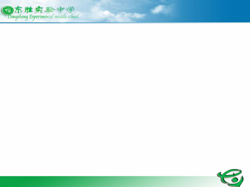 《王几何》段建华PPT课件