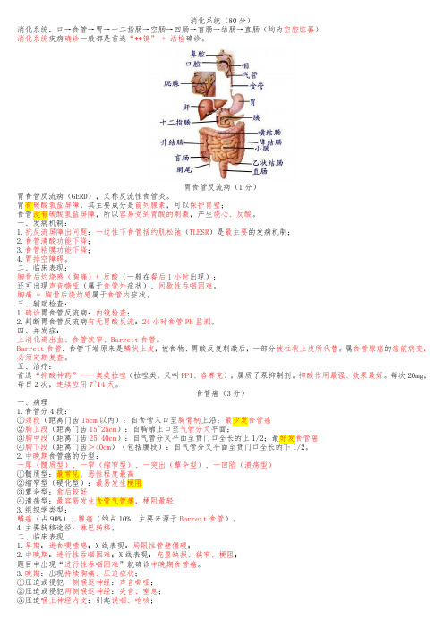 大苗消化系统听课笔记