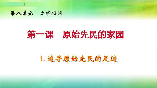 人教版七年级下册历史与社会第八单元文明探源复习课件