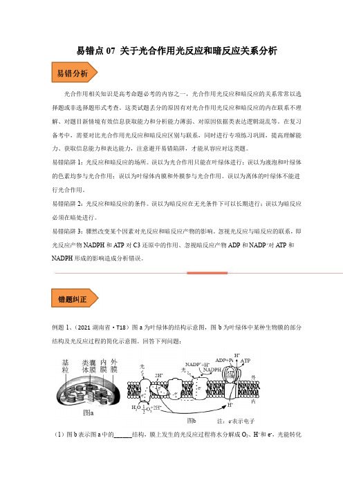 易错点07 关于光合作用光反应和暗反应关系分析(全国通用)(原卷版)