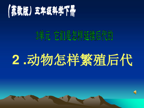 动物怎样繁殖后代苏教版五年级科学下册第三单元第二课精品PPT课件