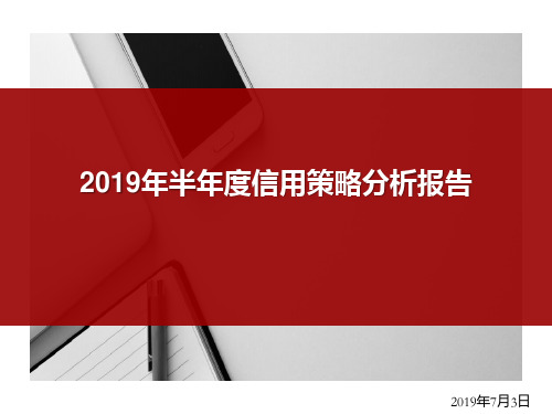 2019年半年度信用策略分析报告